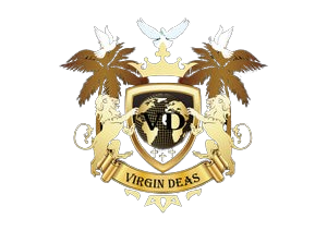 Virgin Deas LLC